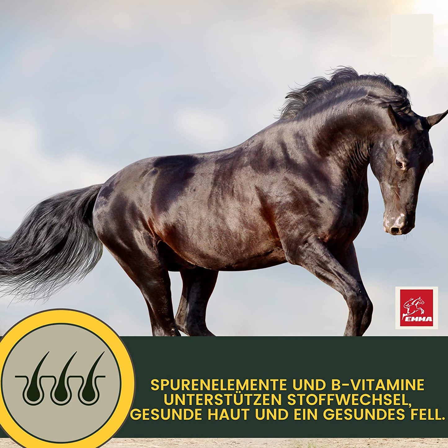 Magen Darm Booster für  Pferde - Probiotika -  Bierhefe - Magen-Darm-Trakt, Paste 3*30ml+