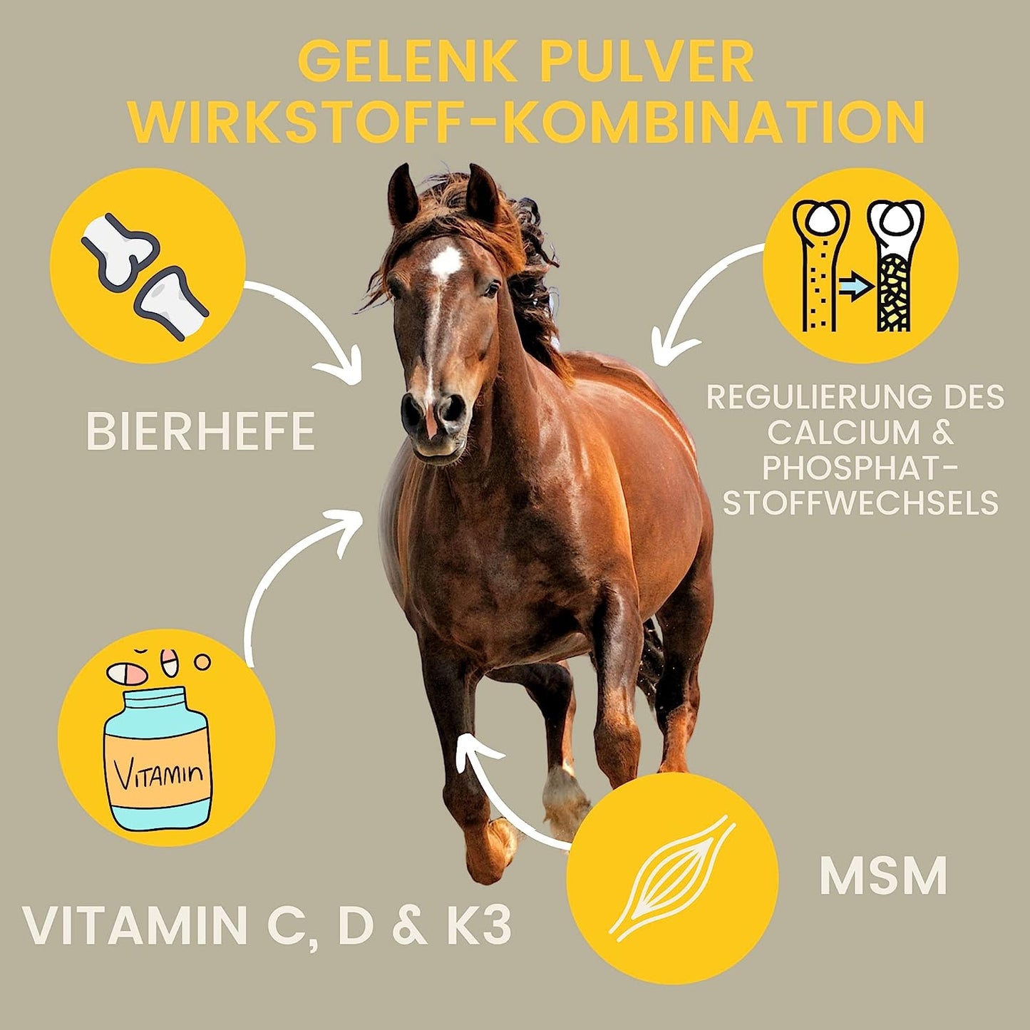 Erste Hilfe Gelenke - MSM, Teufelskralle & Weidenrinde für Pferde