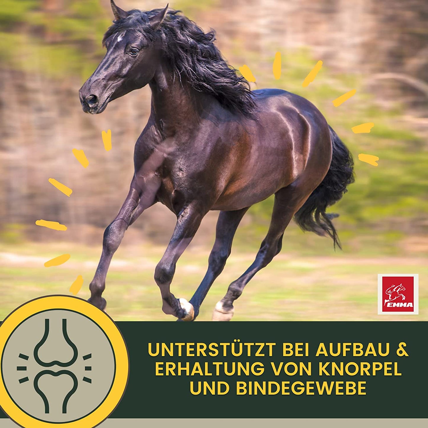 Erste Hilfe Gelenke - MSM, Teufelskralle & Weidenrinde für Pferde