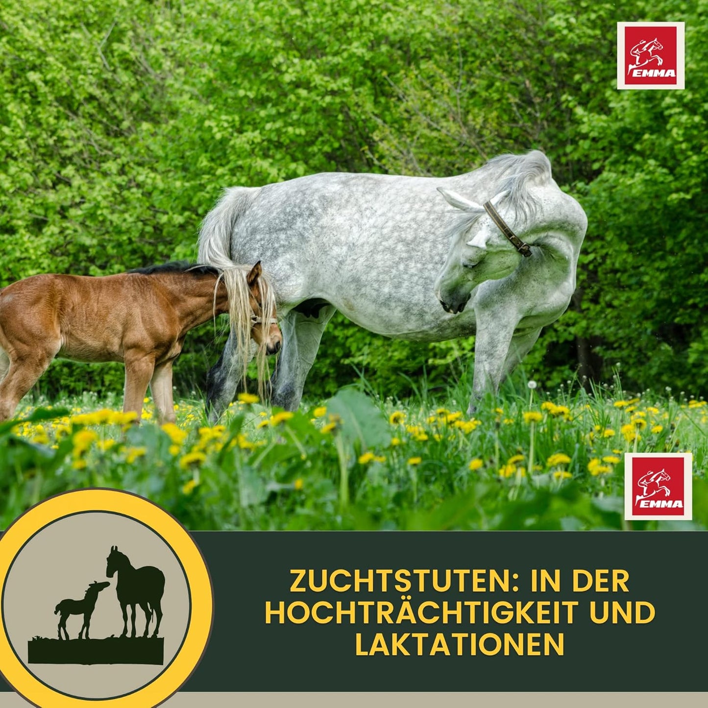 Multi-Vitamine für Pferde, Mischung mit B-Vitaminen, Zink & Eisen 1 L