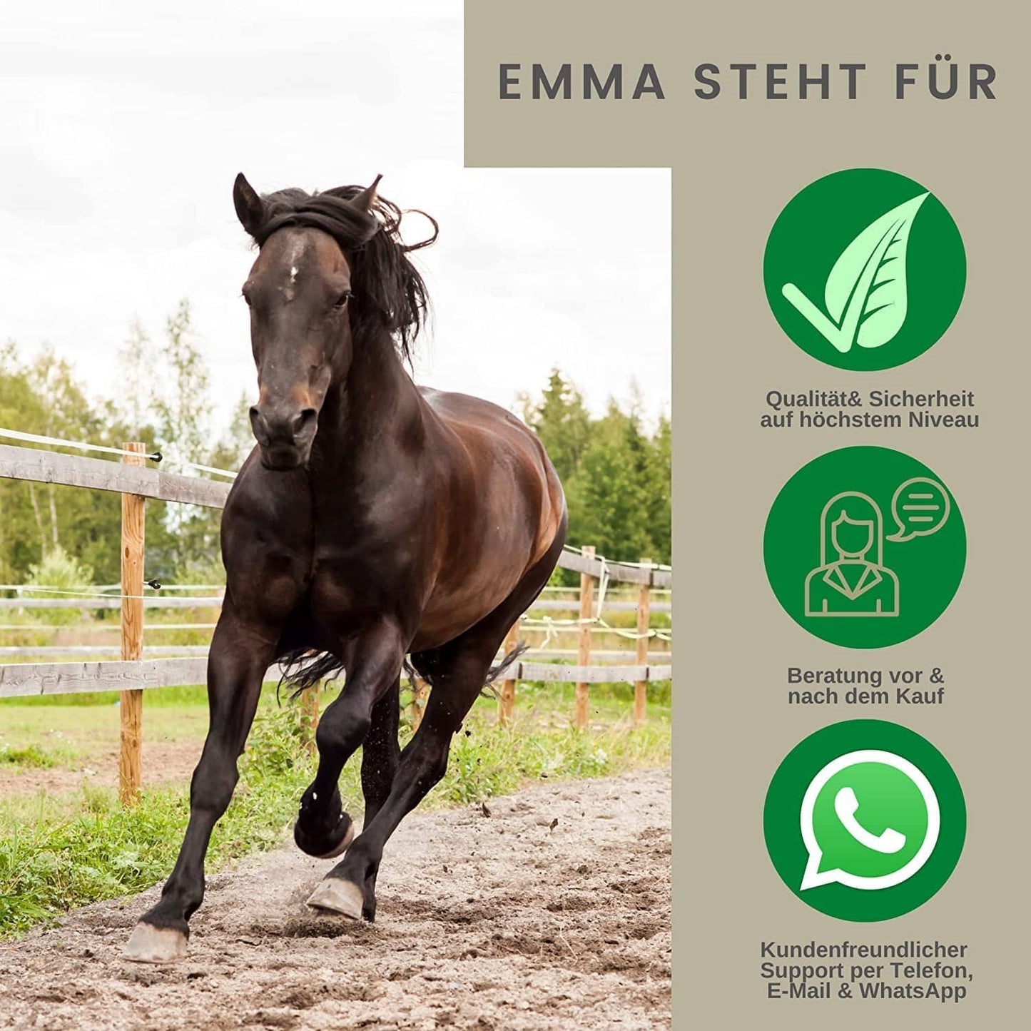 Vitamin-Booster Pferd – B-Vitamine Paste – Energie & Leistung – 1 St. – EMMA – zur Pflege & täglichen Versorgung – EMMA Care