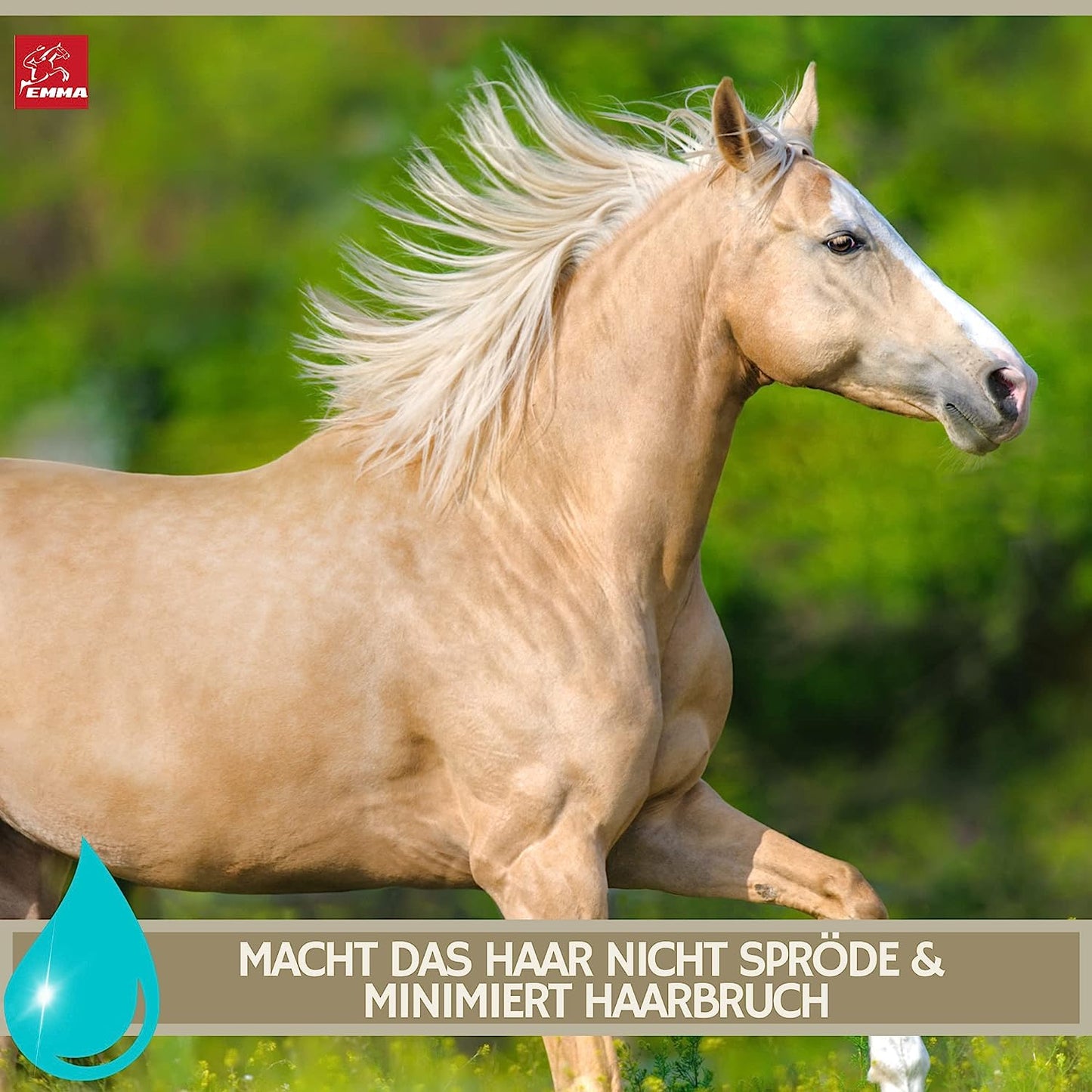 SPARPAKET, Haut & Haare, Leinöl 2,5 Liter,  Teebaumöl Shampoo, Mähnenspray 2,5 L fürs Pferd