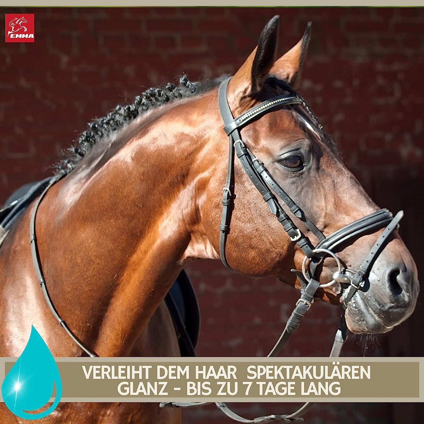 SPARPAKET, Haut & Haare, Leinöl 2,5 Liter,  Teebaumöl Shampoo, Mähnenspray 2,5 L fürs Pferd