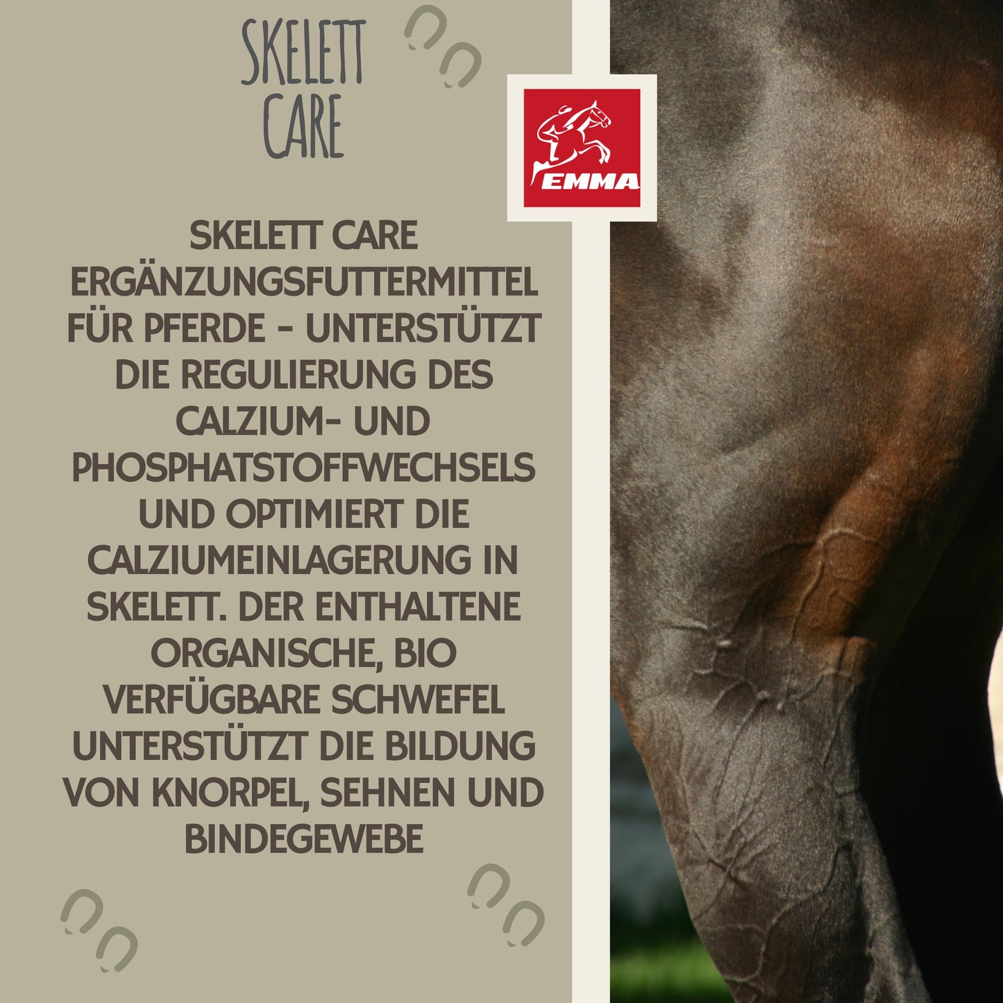 MSM Calcium Gelenk-Pulver Pferd 3Kg