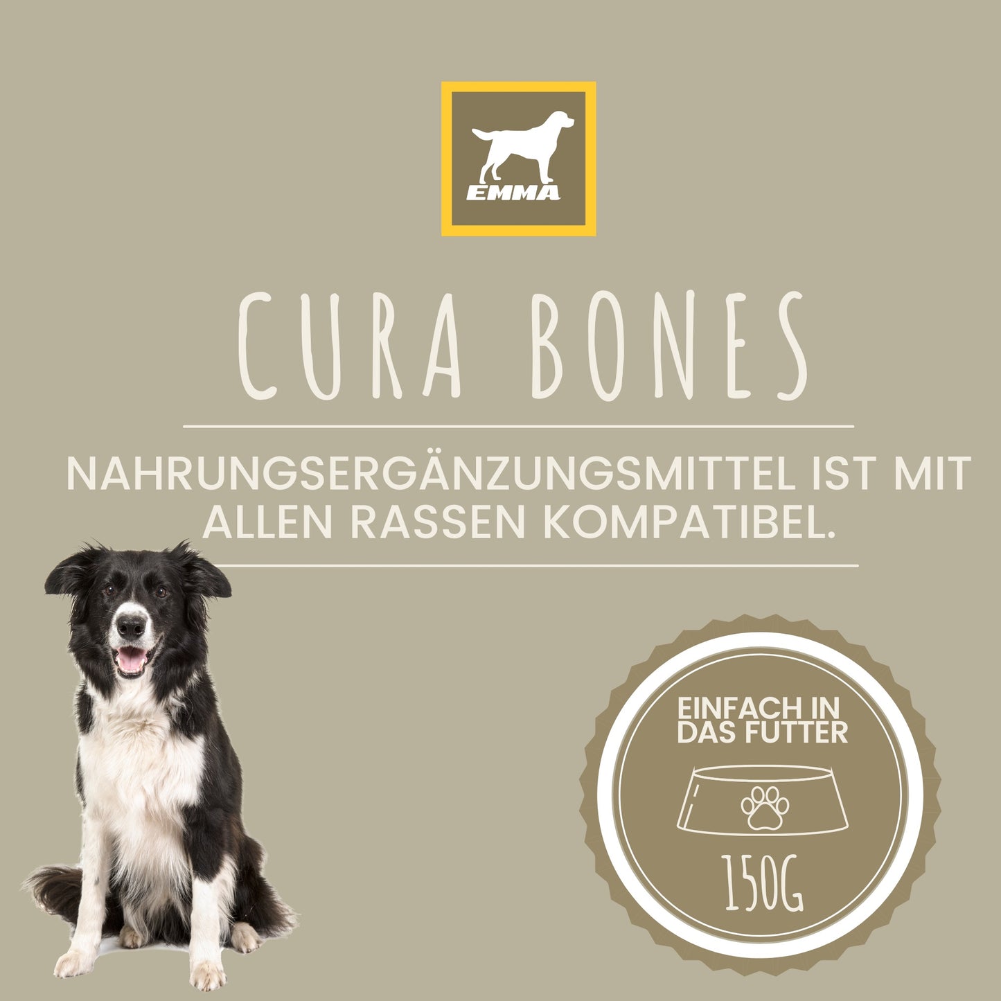 MSM Glucosamin Gelenkpulver Hund 150GR