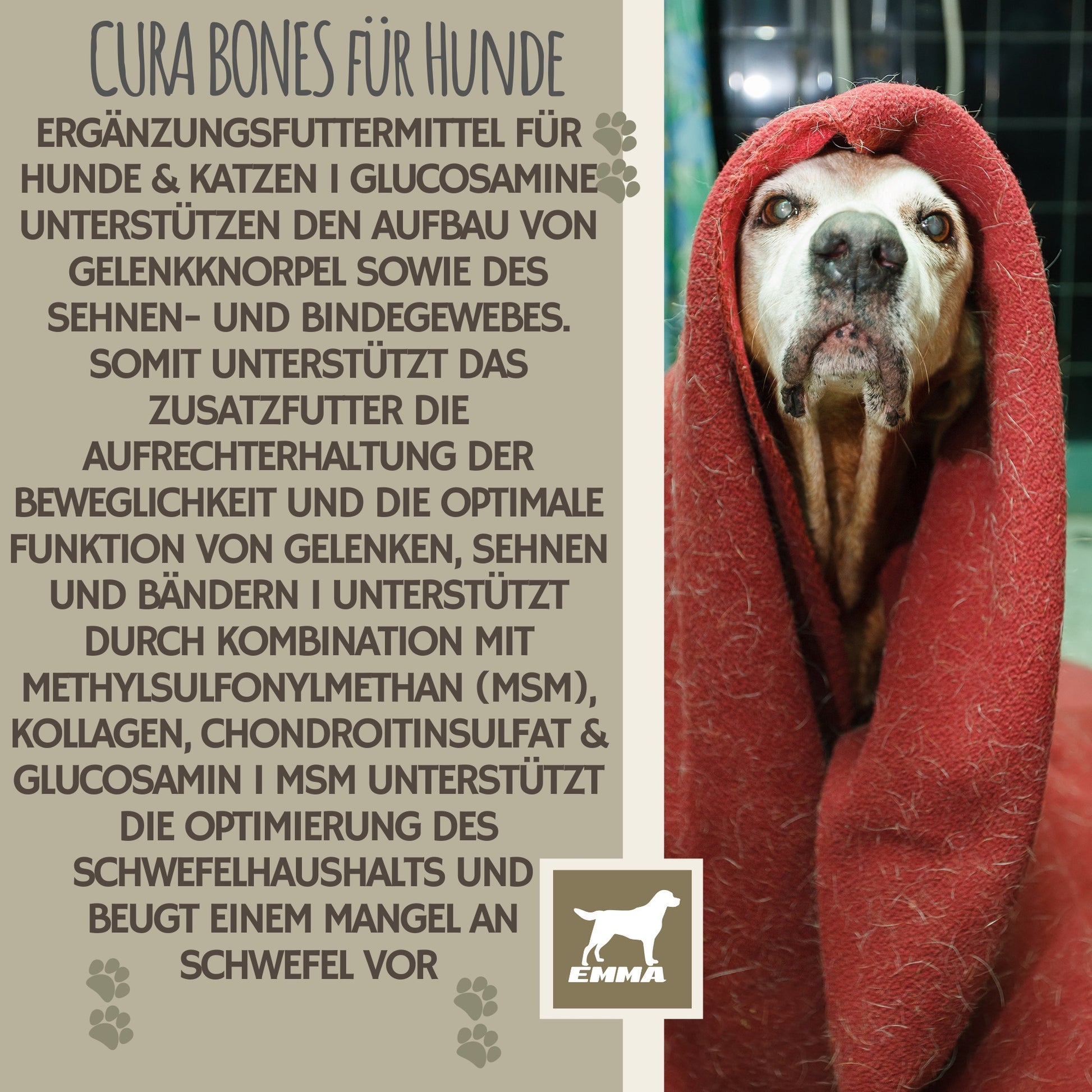 MSM Glucosamin Gelenkpulver Hund 150GR