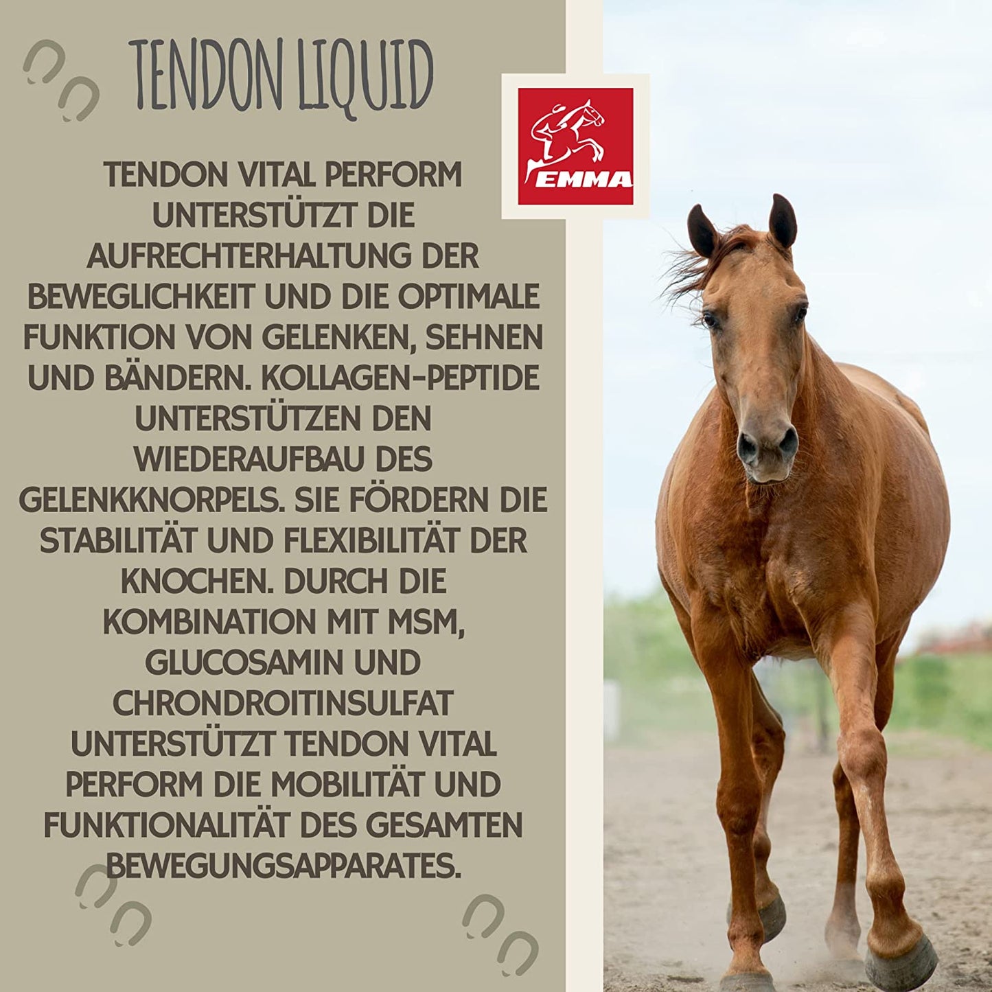 MSM-Pferd-Weidenrinde-Pferd-Teufelskralle-Pferde-Erste-Hilfe-Set-Gelenke Pferde-MSM-Equi-P-Booster-Kollagen-MSM-Futter-Pferd-Glucosamin-Chondroitin-hochdosiert