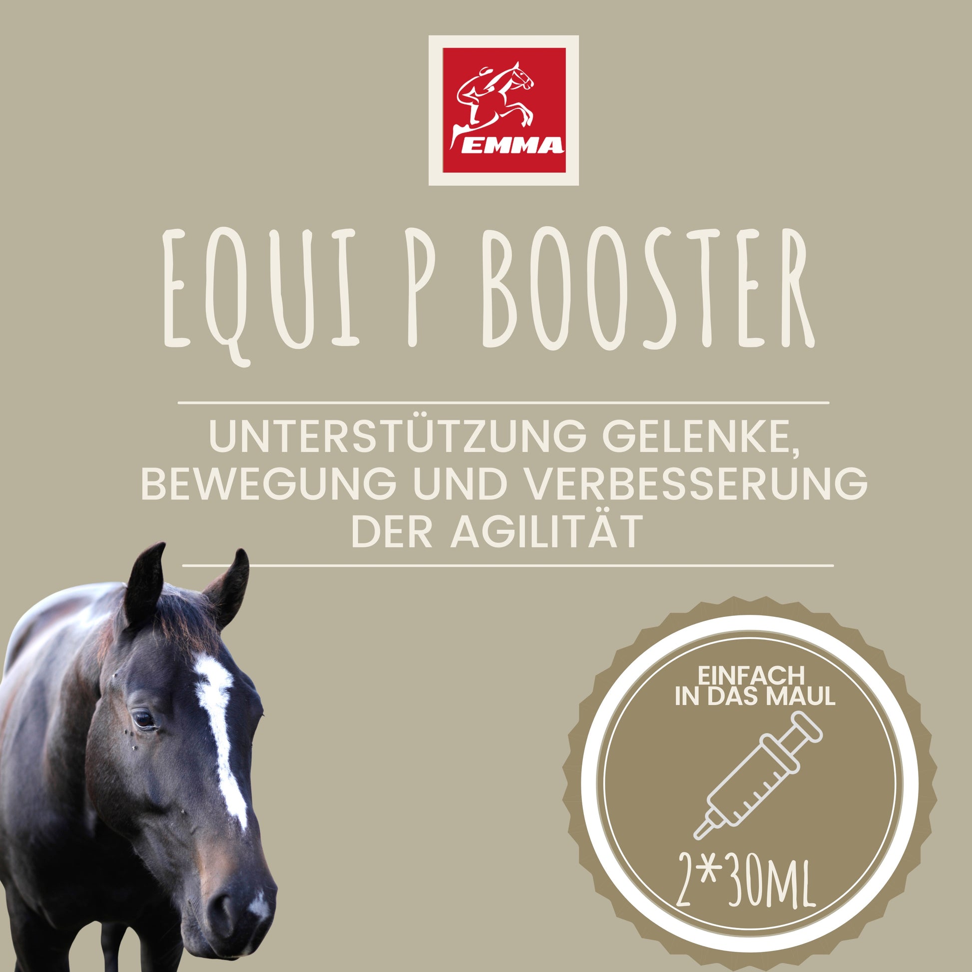 MSM Weidenrinde Gelenk-Paste Pferd 2St