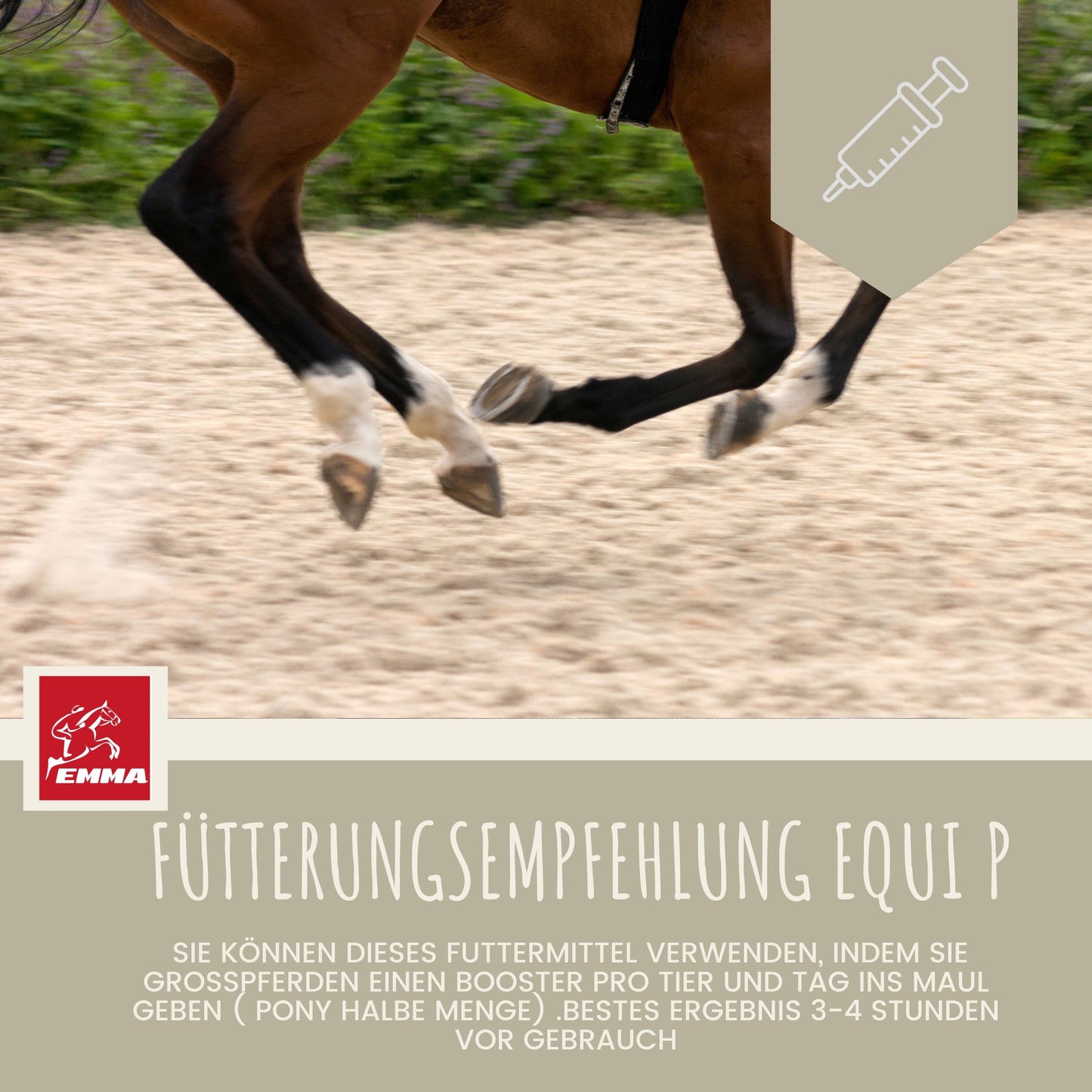 Equi P Booster für Pferde – MSM + Weidenrinde – Extra-Stark – 3×30ml – EMMA – zur Unterstützung von Gelenken & Bewegungsapparat – EMMA Care