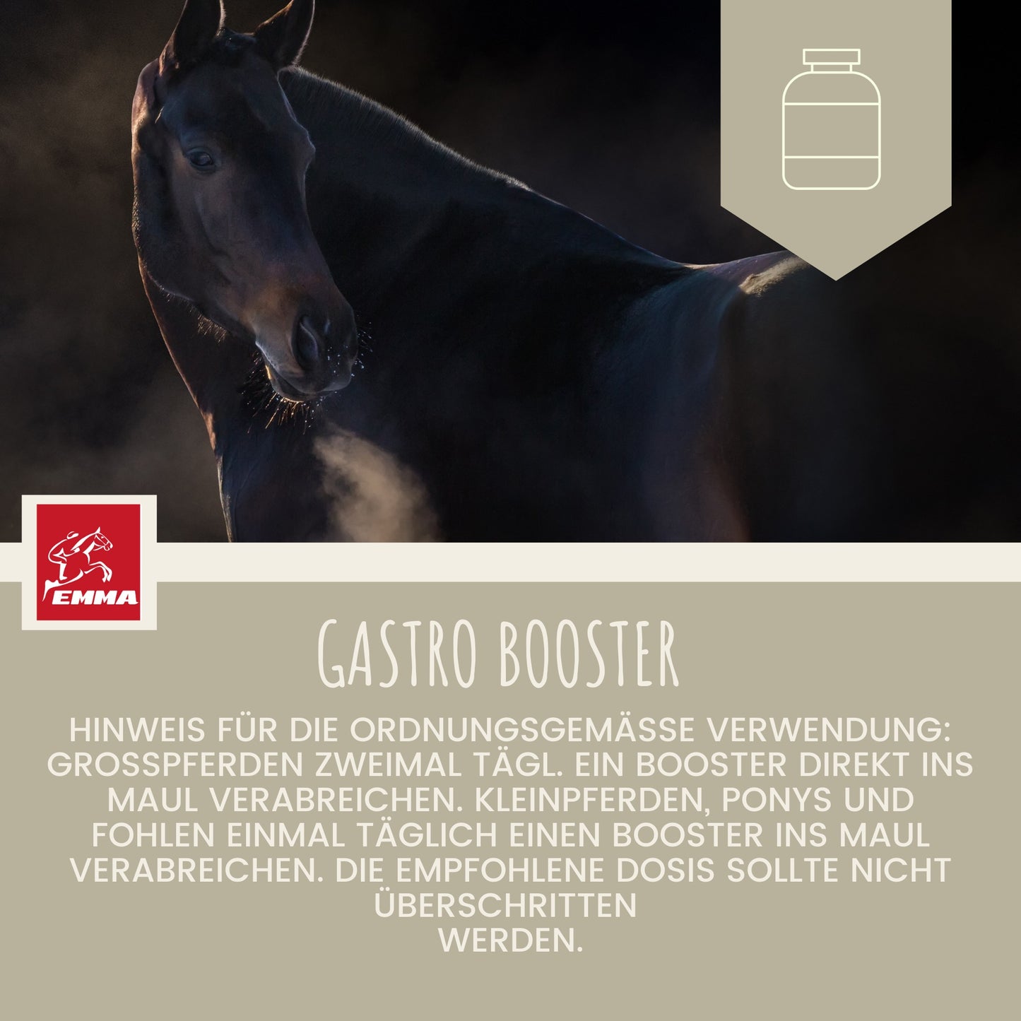 EMMA Gastro 4 Booster Magen Darm Booster Pferd - Probiotika - Bierhefe Pferd I Vitamin E Pferd I Hefekulturen Darmflora - Magen-Darm-Trakt - Vitamin Paste I nach Kolik Kotwasser Durchfall Stoffwechsel Pferd6.jpg