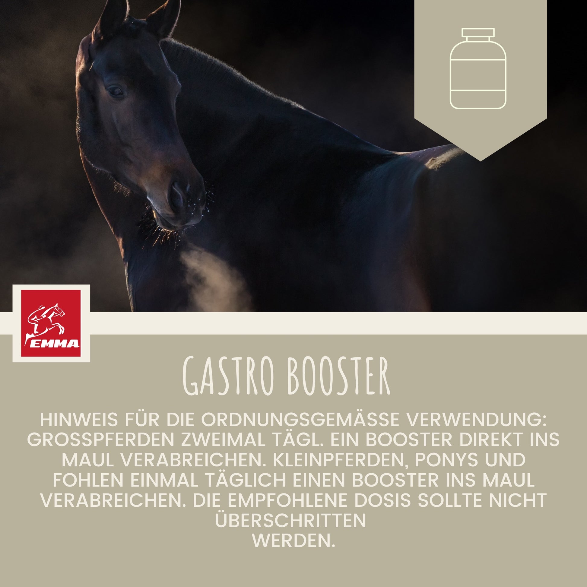 EMMA Gastro 4 Booster Magen Darm Booster Pferd - Probiotika - Bierhefe Pferd I Vitamin E Pferd I Hefekulturen Darmflora - Magen-Darm-Trakt - Vitamin Paste I nach Kolik Kotwasser Durchfall Stoffwechsel Pferd6.jpg
