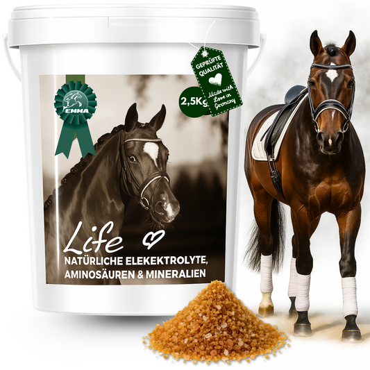 Elektrolyte & Mineralien Pferd, Aminosäuren komplex, Ergänzungsfutter 2,5 Kg