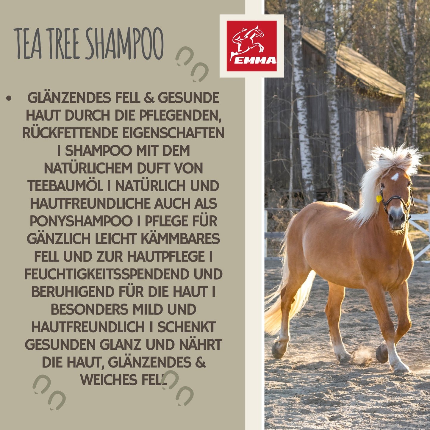 Teebaumöl Shampoo JUCKREIZ PFERD Hund 500ml