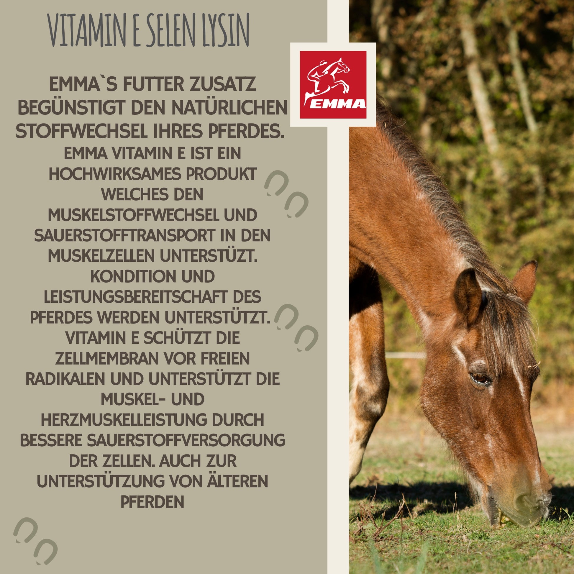 Vitamin E Lysin Selen für Pferde 1L