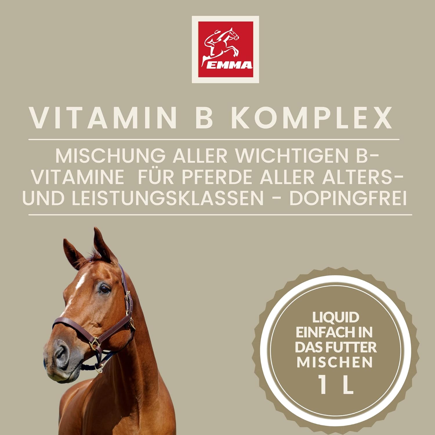 vitamin-b-komplex mineralfutter pferde
