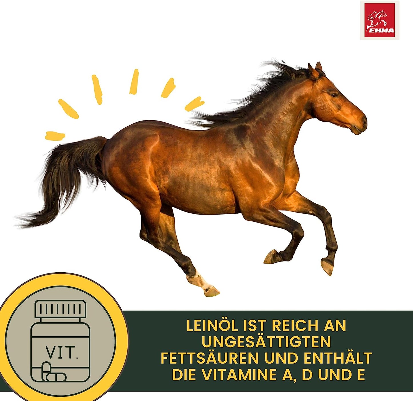 Leinöl Pferde Hunde Kanister Barf Öl I Leinöl Pferd Omega 3 Öl I 3 6 Fettsäuren I kaltgepresst 100% I Leinsamenöl I glänzendes Fell Haut Verdauung Fellwechsel Leinöl Hunde Pferde Katzen 2,5L1.jpg