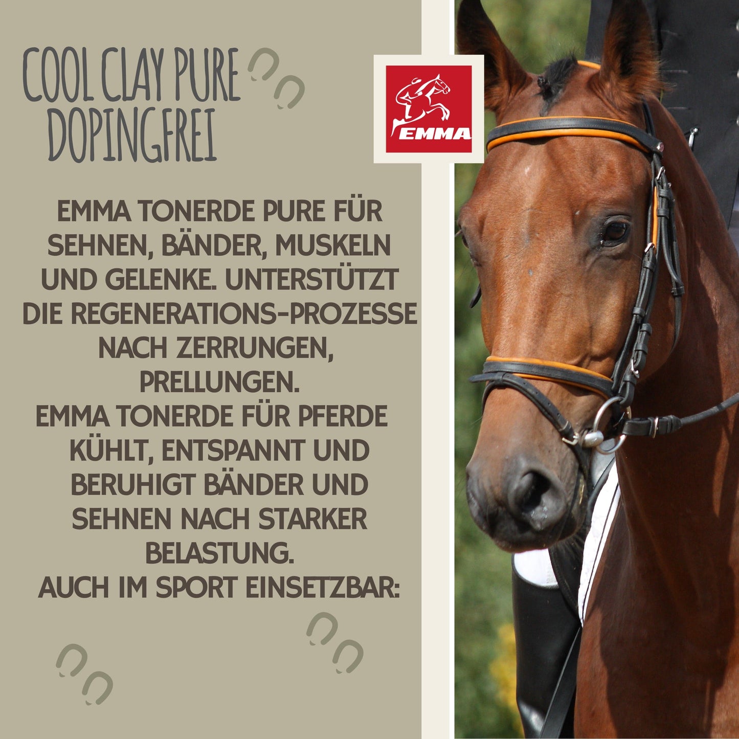 Tonerde Paste Pferd, dopingfrei, essigsaure Tonerde 1,5 Kg – zur Pflege & täglichen Versorgung – EMMA Care