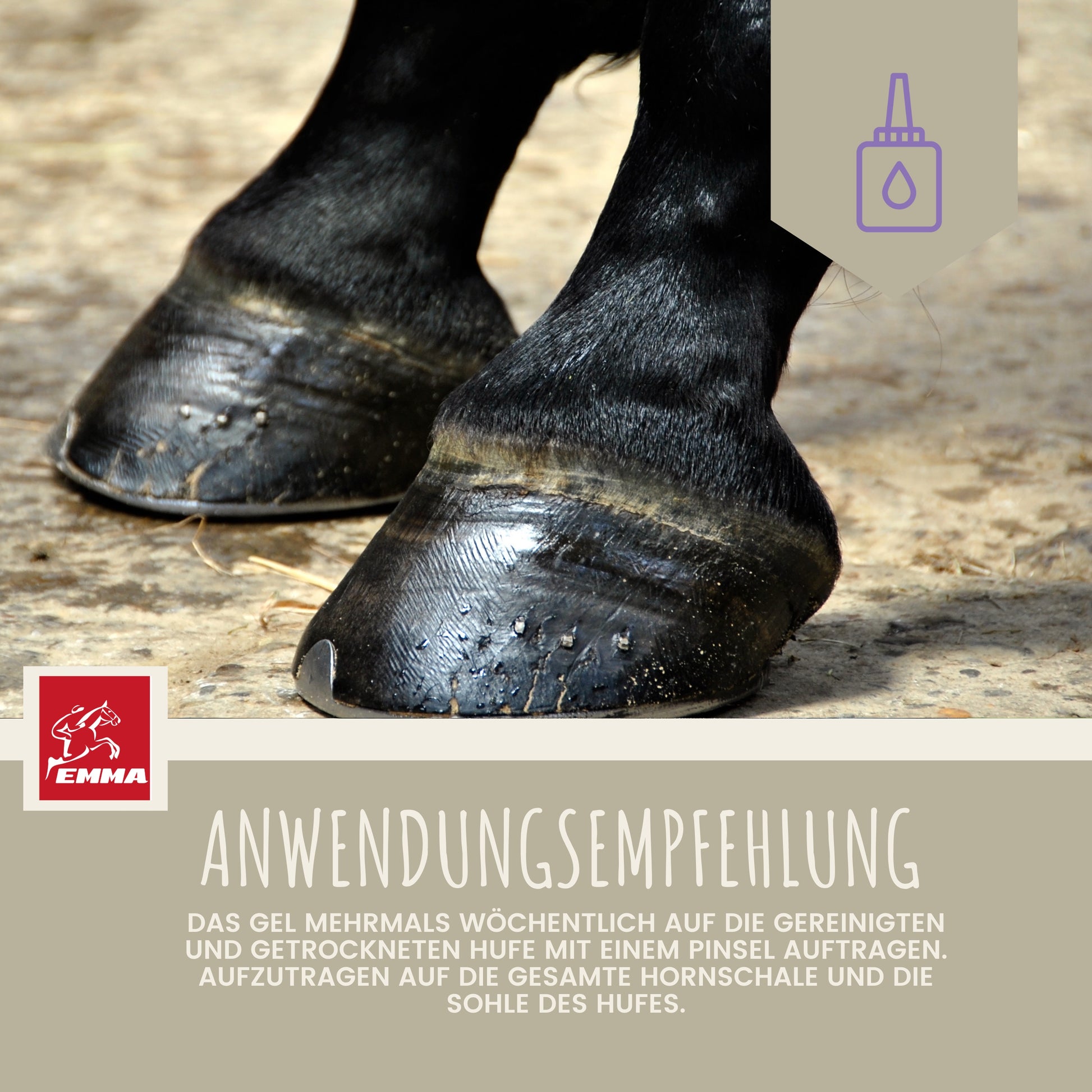 hufpflege huffett huföl pferde 2,5L