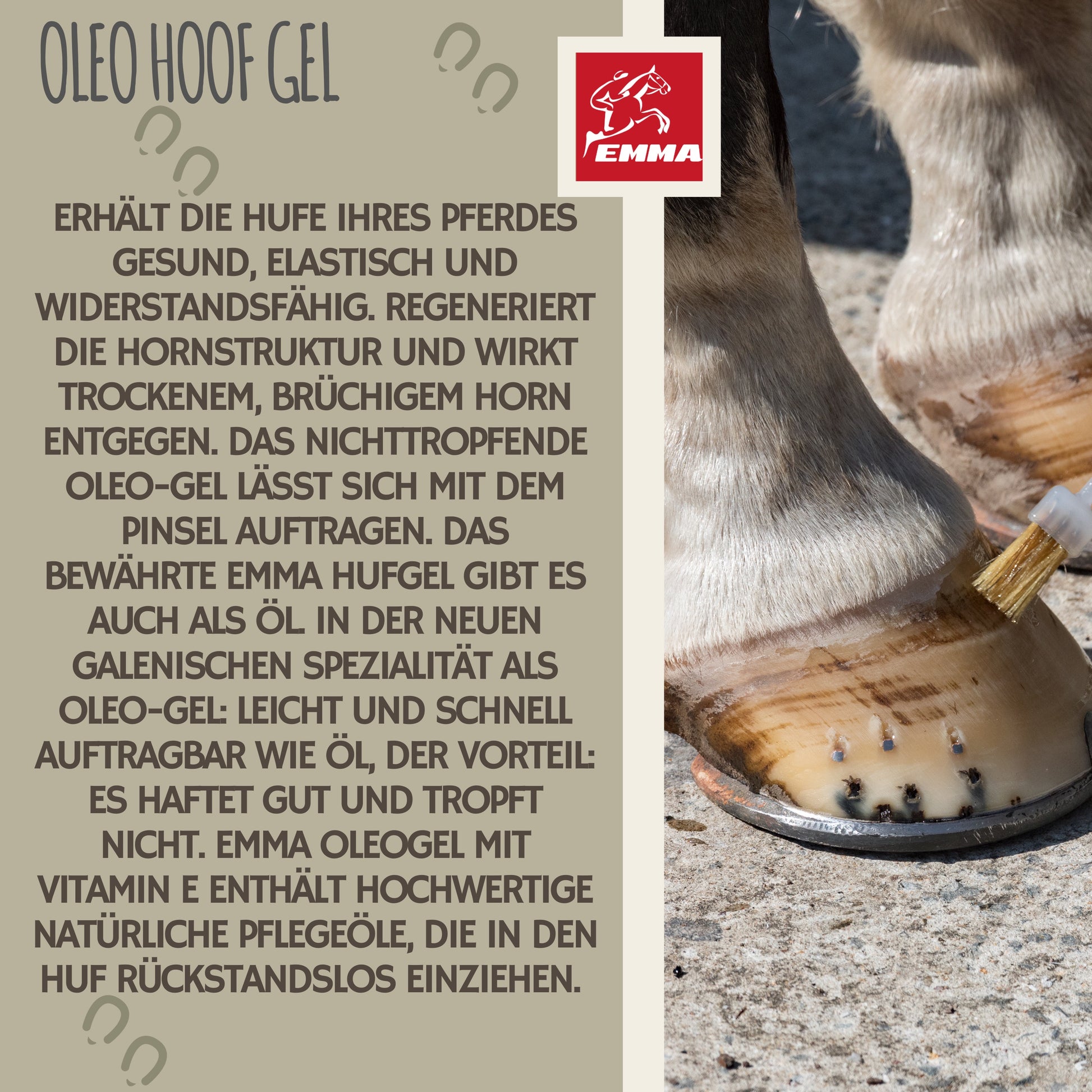 hufpflege huffett huföl pferde 2,5L