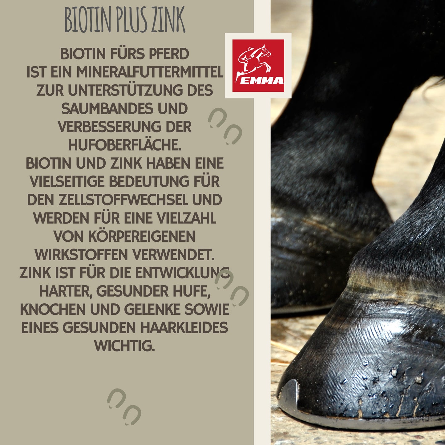 hufpflege strahlpflege huföl biotin pferde