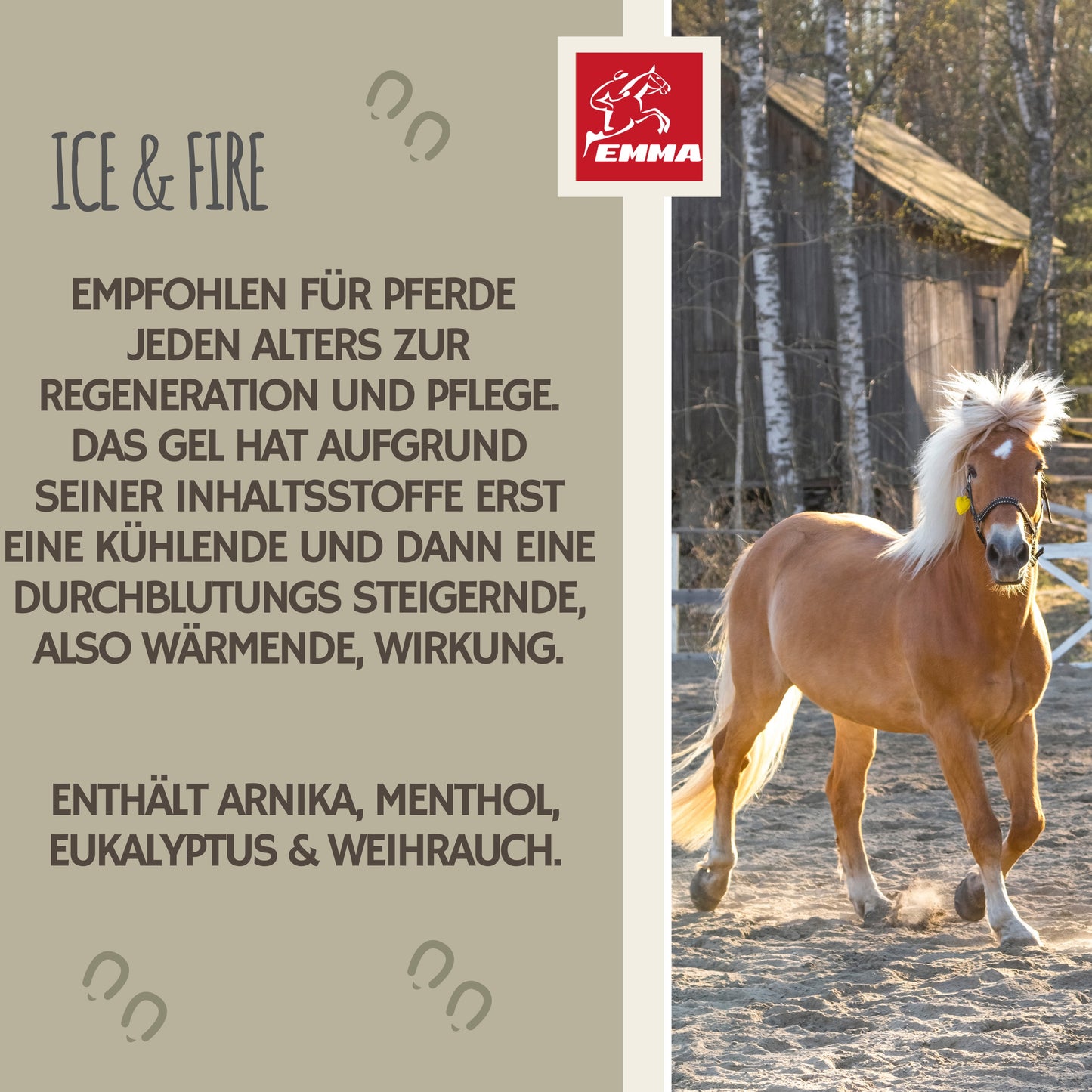 pferdebalsam wärmend kühlend pferdesalbe 500ml