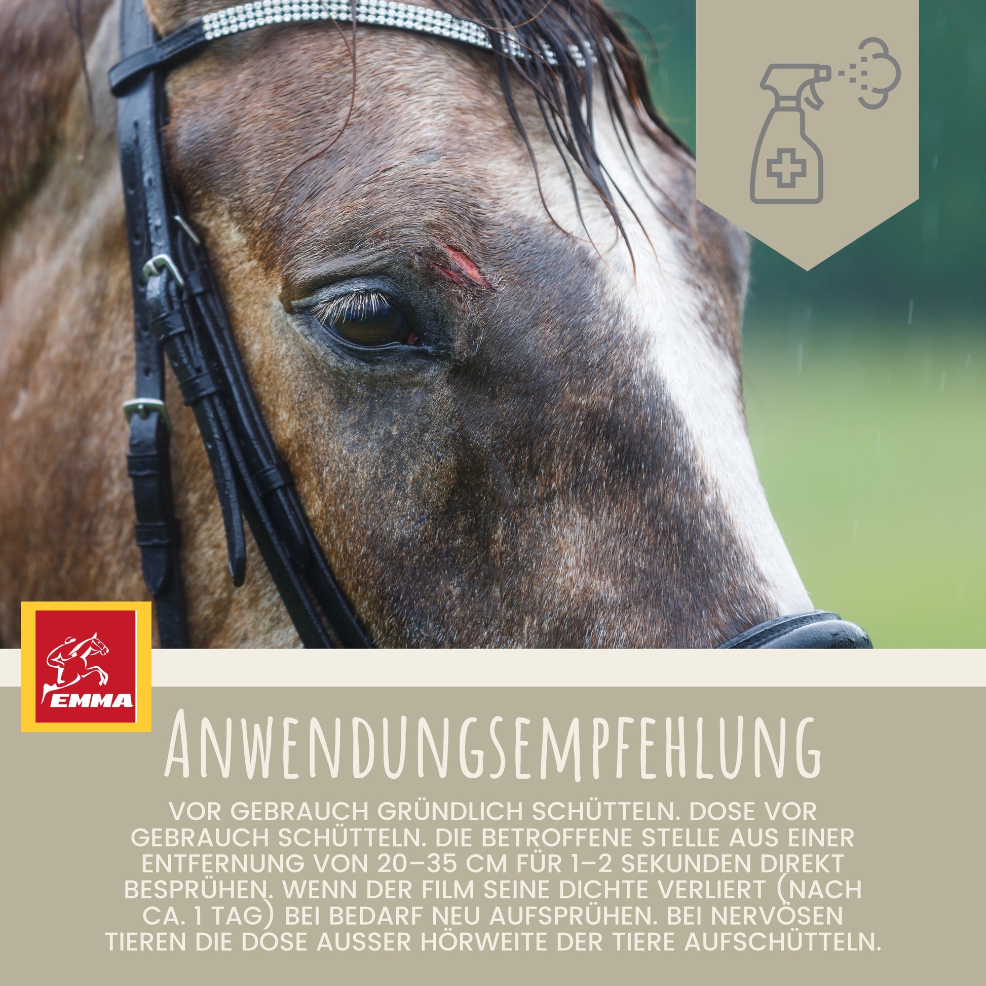 silberspray desinfektionsspray wundspray hund pferd