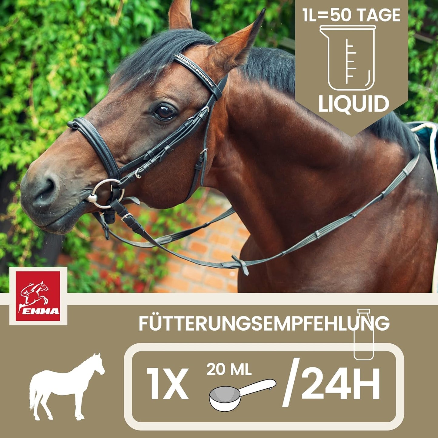 vitamin-b-komplex mineralfutter pferde