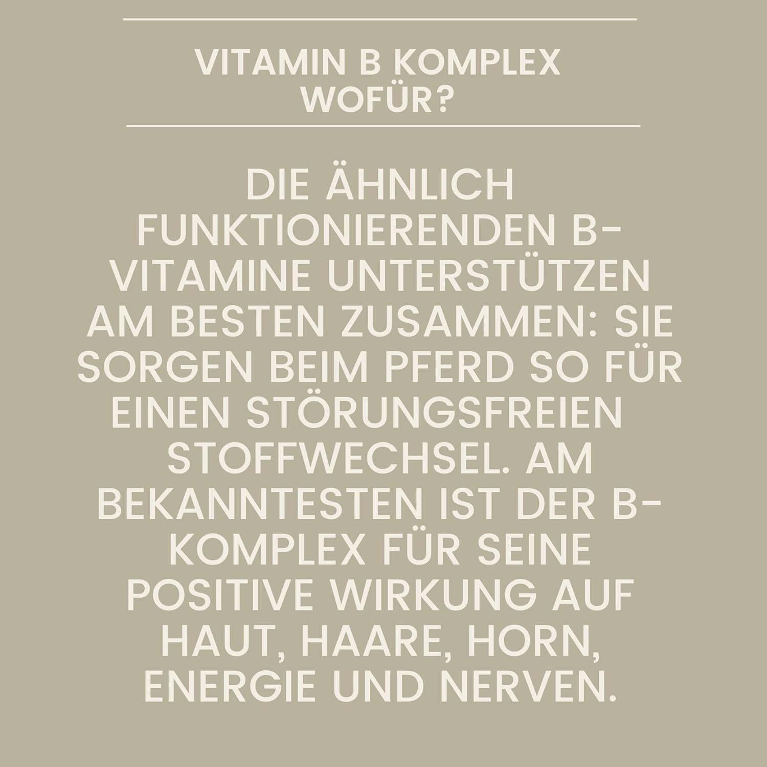 vitamin-b-komplex mineralfutter pferde