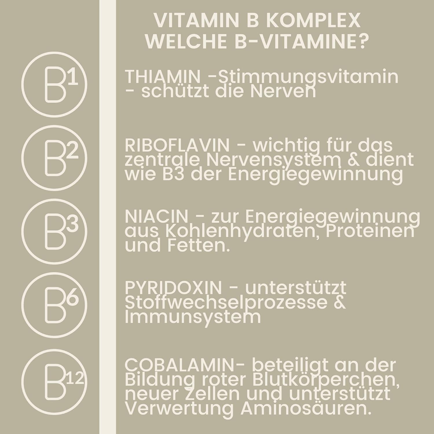 vitamin-b-komplex mineralfutter pferde