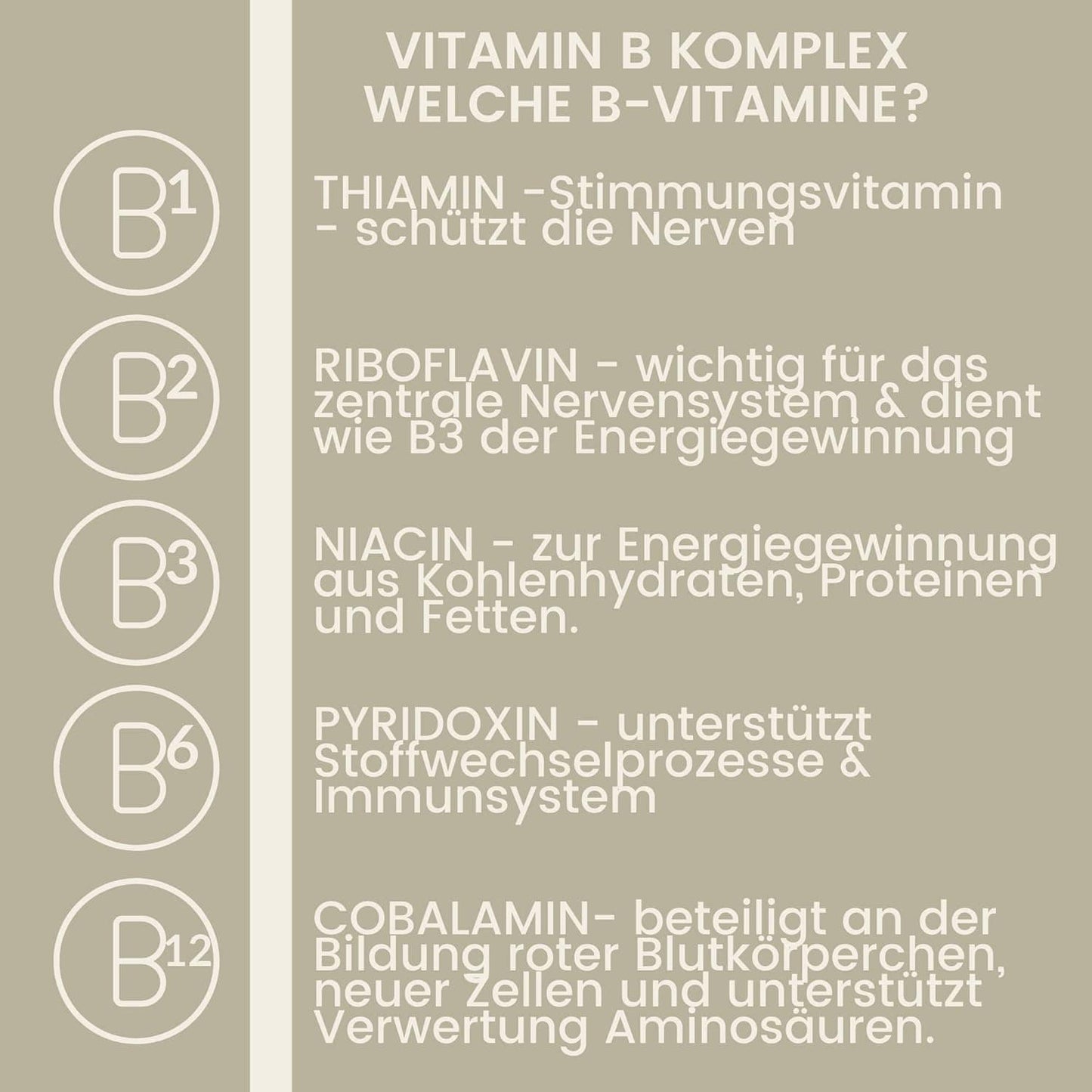 Vitamin B-Komplex Pferd – B-Vitamine + Mineralstoffe – 1 L – EMMA – zur Pflege & täglichen Versorgung – EMMA Care