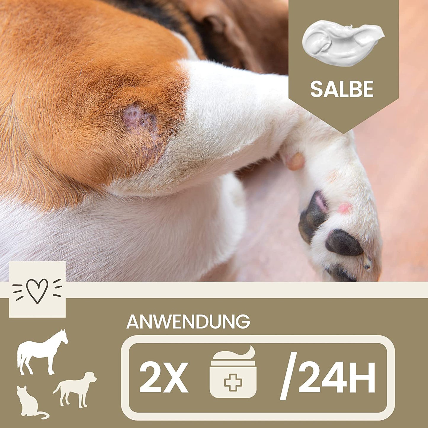 EMMA No 1 Zinksalbe 1 Wundsalbe Wundcreme Hund Katze Pferd I Zinkpaste offene Wunde I Ekzem Zink Salbe gegen Juckreiz I Zinkcreme Wundheil I Zinkbalsam Wundheilung I Wund und Heilsalbe Tiere 250ml