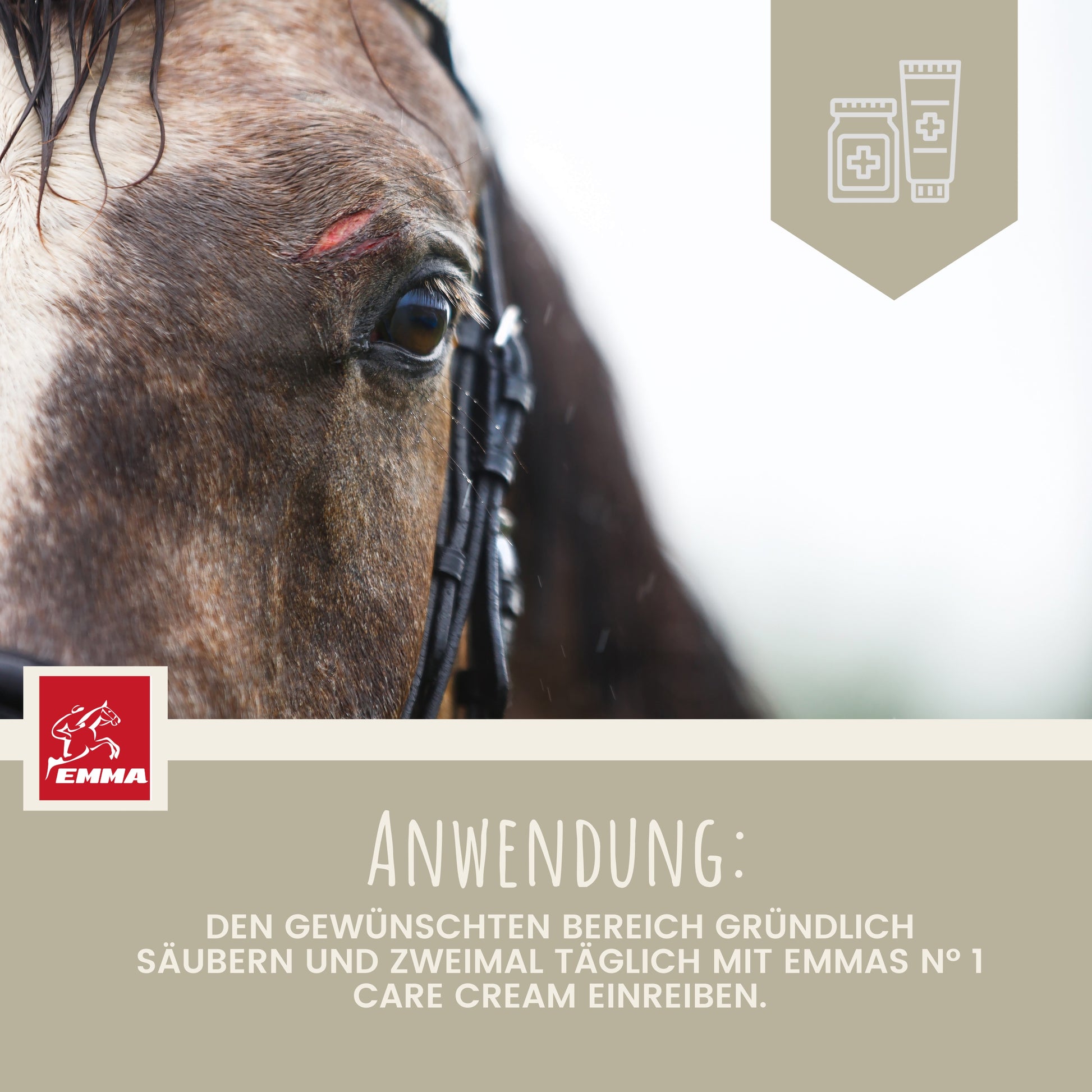 zinksalbe wund-und-heilsalbe hund 250ml