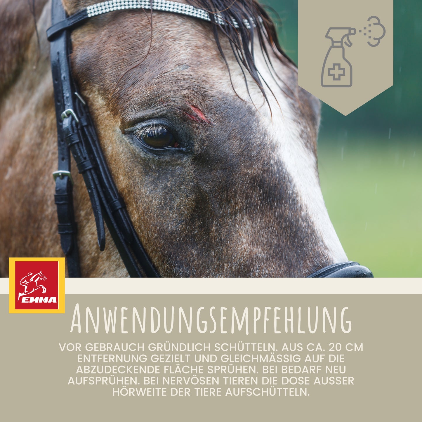 zinkspray desinfektionsspray wundspray hund pferd