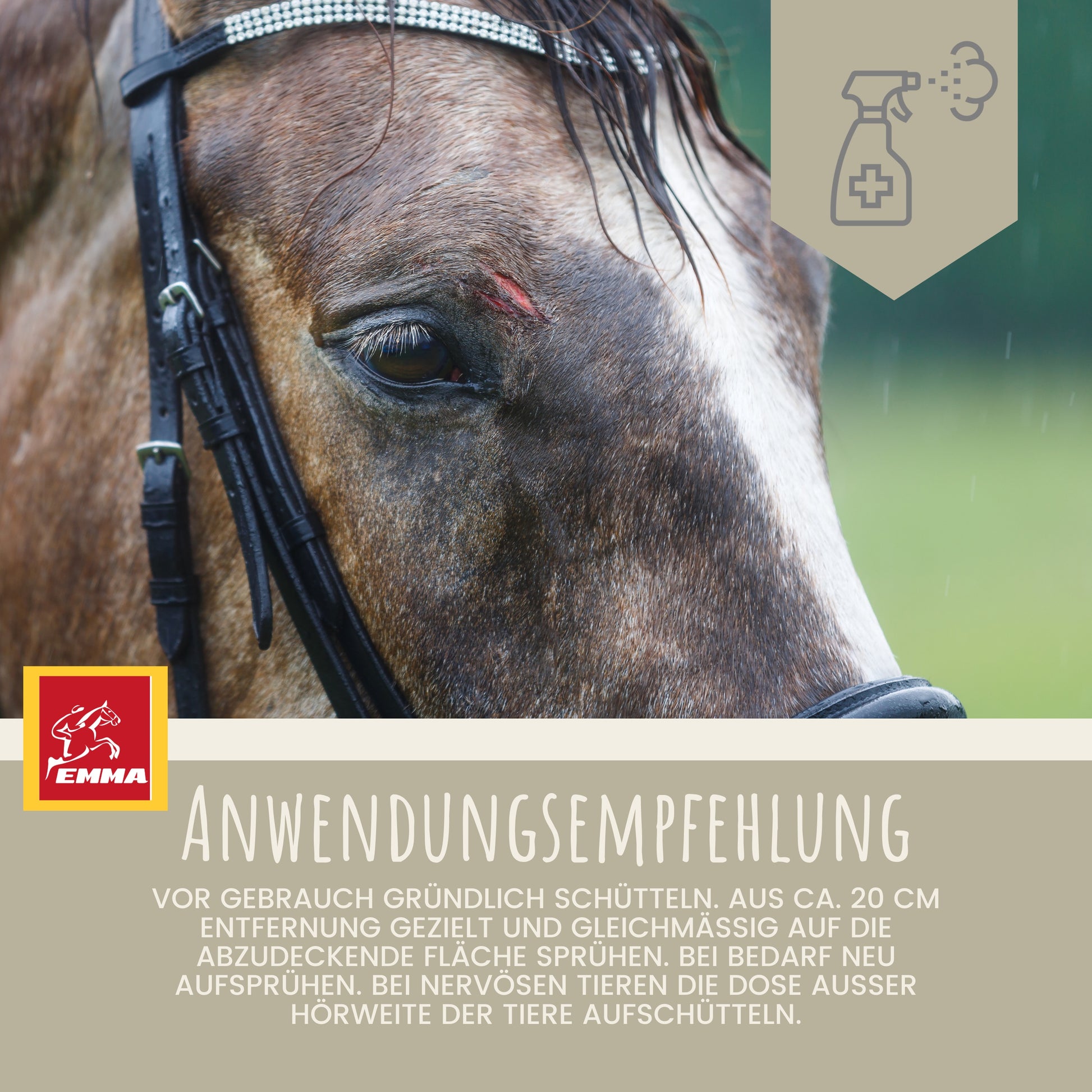 zinkspray desinfektionsspray wundspray hund pferd