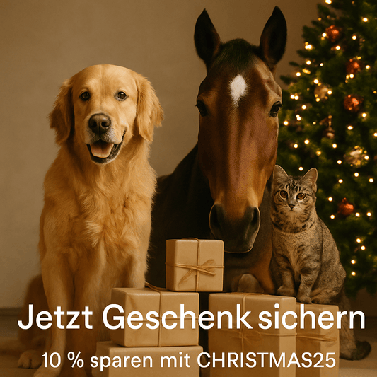 Tierische Weihnachtsbäckerei Gesunde Plätzchen für Hund, Katze & Pferd