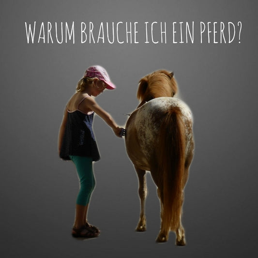 WARUM BRAUCHE ICH EIN PFERD??Glück?