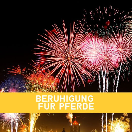 Pferd beruhigen bei Silvester & Feuerwerk – Tipps & natürliche Unterstützung | EMMA CARE