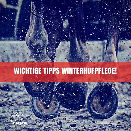 Winterhufpflege beim Pferd – 9 Tipps für gesunde Hufe im Winter | EMMA CARE