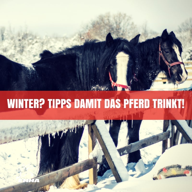 ELEKTROLYT für PFERDE-3 einfache Tipps, um sicherzustellen, dass Ihr Pferd in diesem Winter genügend Wasser bekommt.