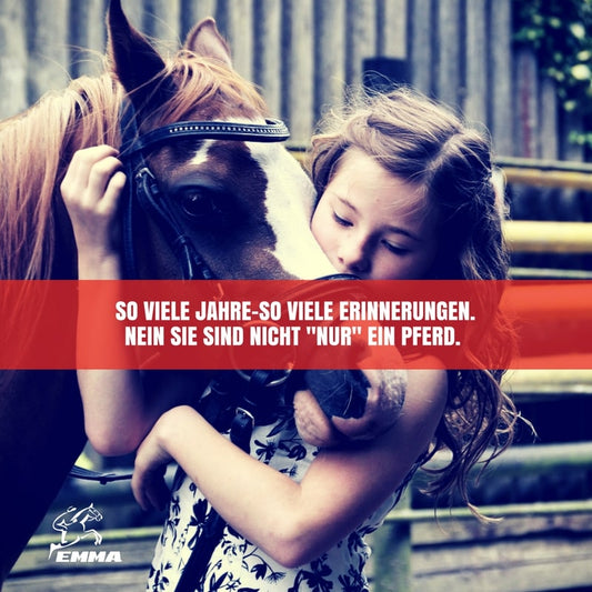 DAS ALTE PFERD-WEGWERFARTIKEL?