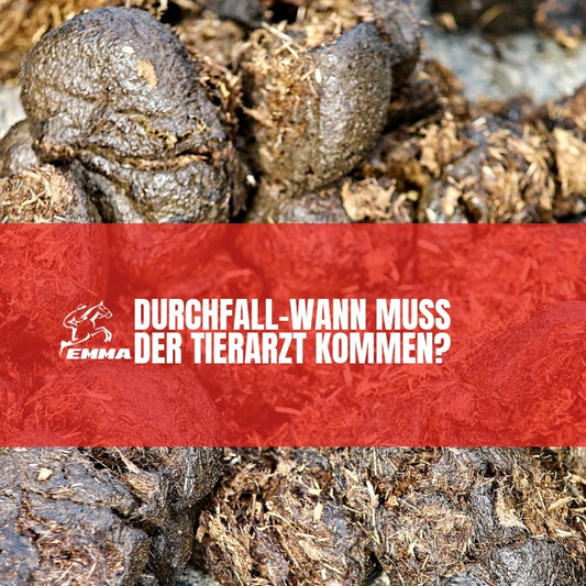 Durchfall beim Pferd – Ursachen, Erste Hilfe & wann der Tierarzt kommen muss | EMMA CARE
