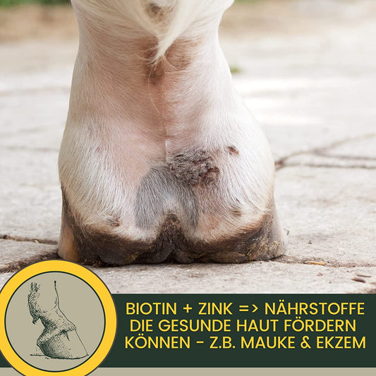 MAUKE BEIM PFERD I WAS IST ZU TUN? Ursachen?