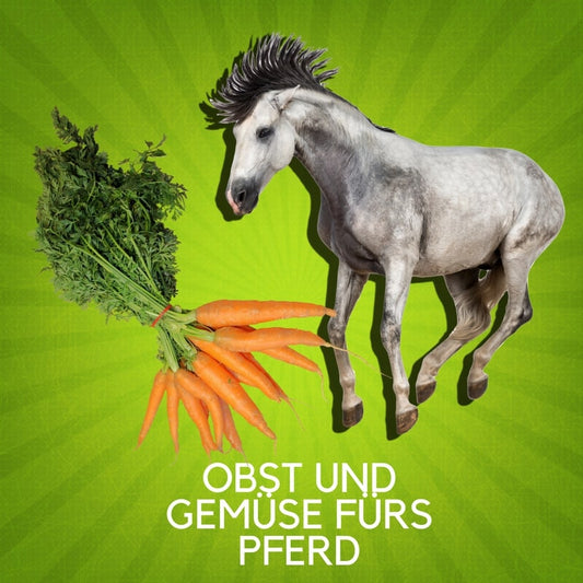 Obst und Gemüse an Pferde und Ponys füttern?