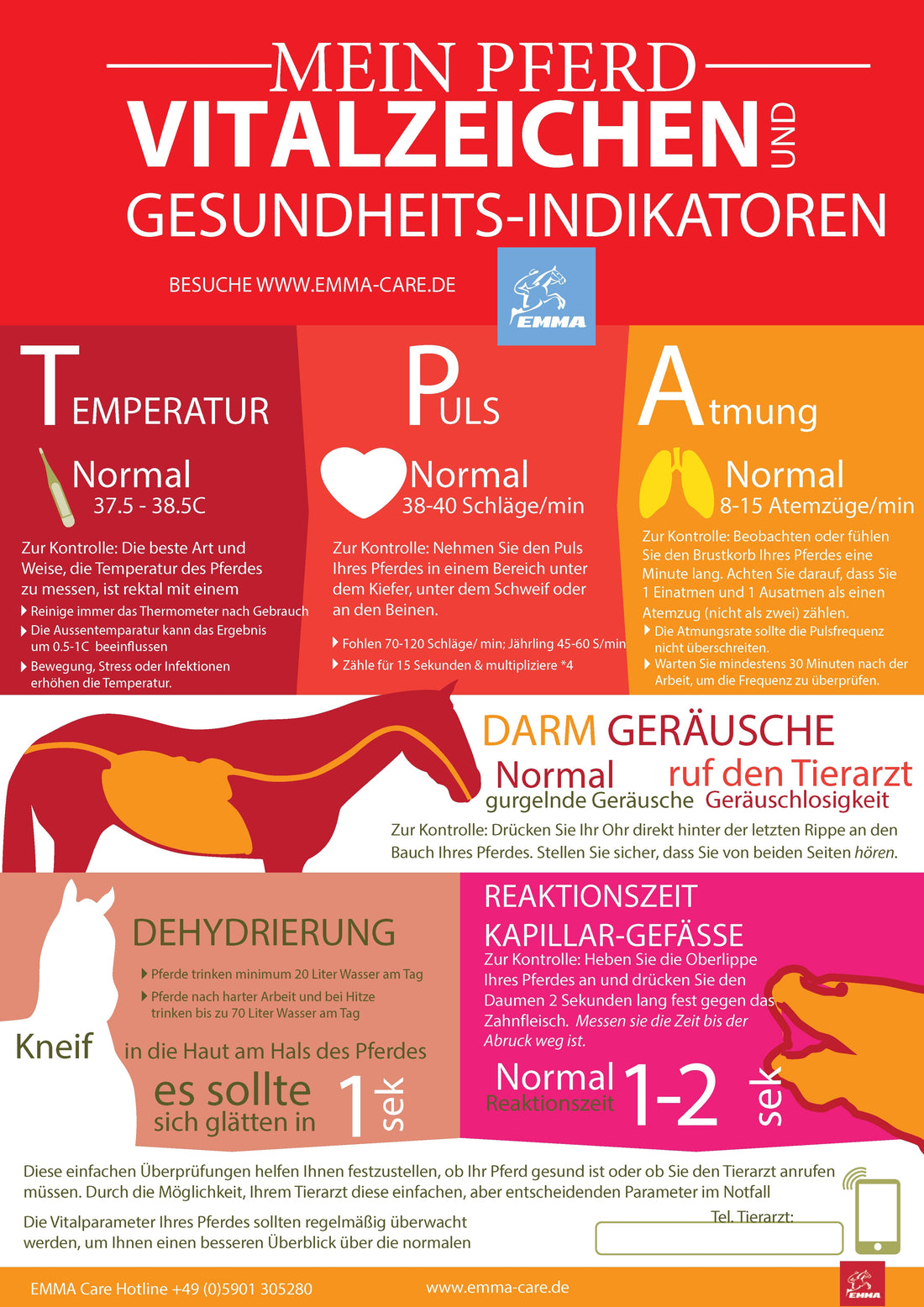 VITALZEICHEN BEIM PFERD I Puls, Atemfrequenz und Temperatur Download