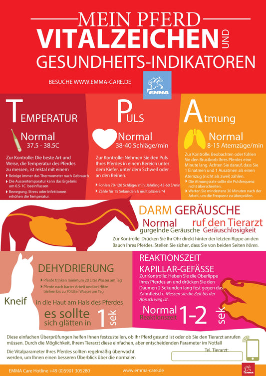 VITALZEICHEN BEIM PFERD I Puls, Atemfrequenz und Temperatur Download