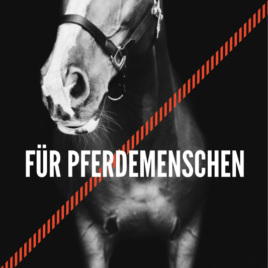 Der schönste Pferdespruch - Video