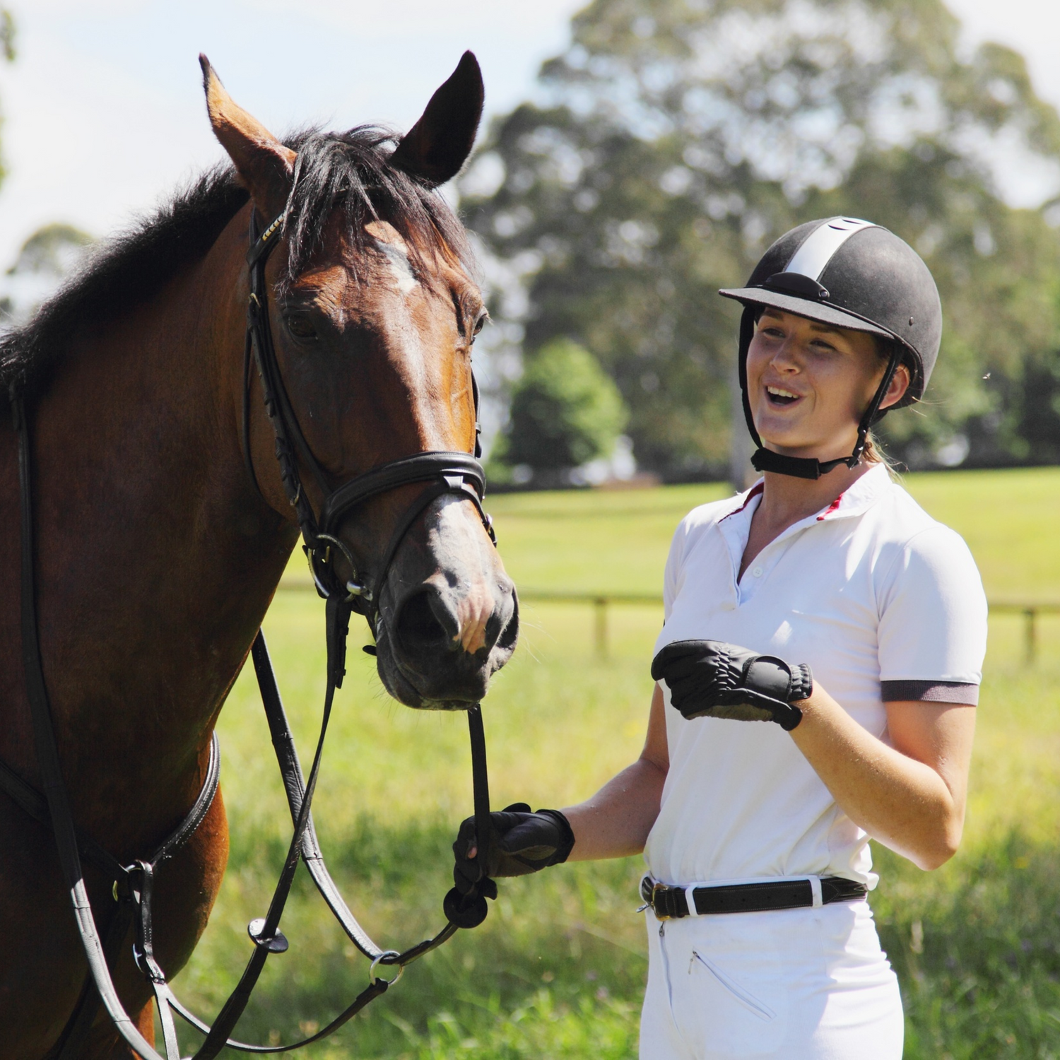 Geschenke für Reiter