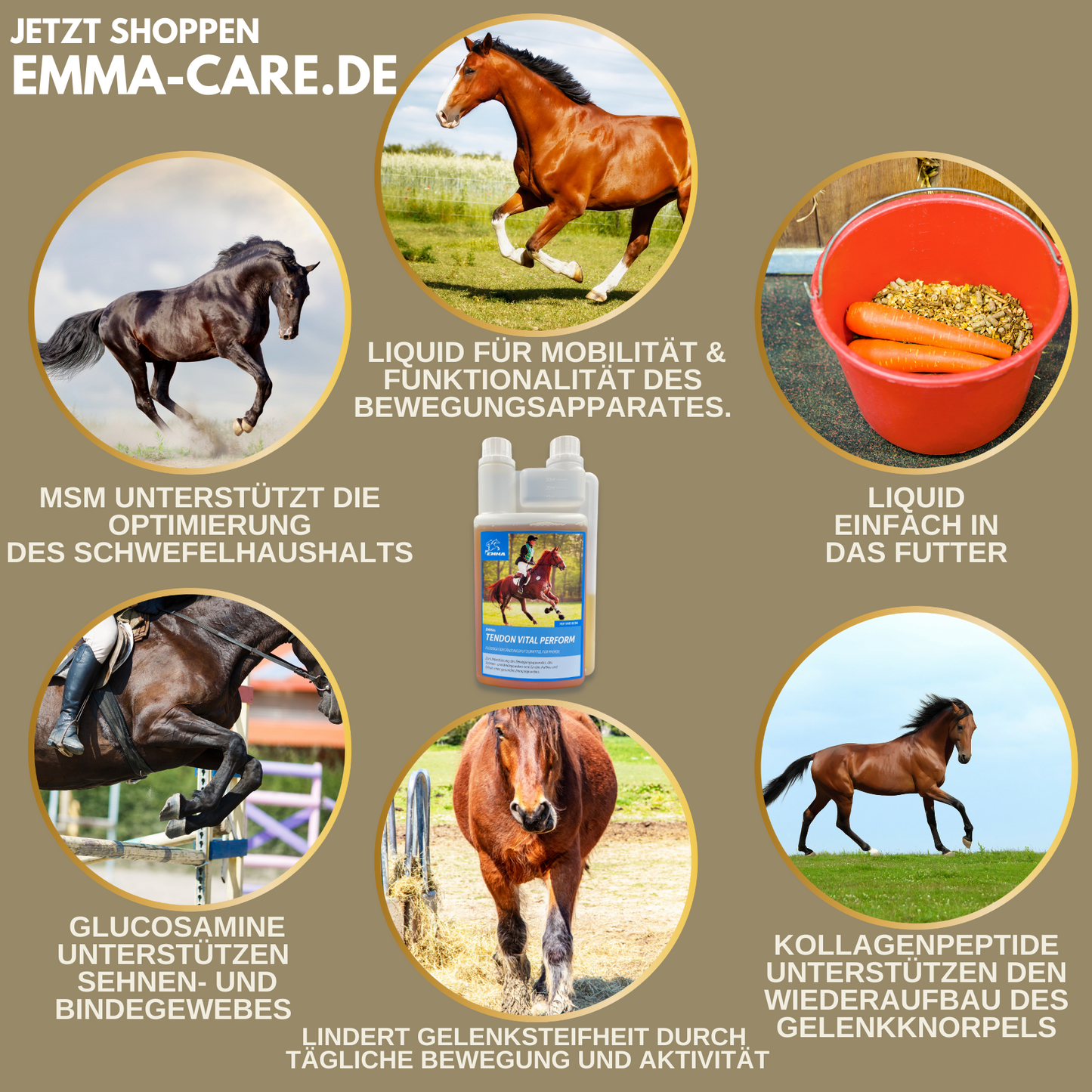 Gelenk aktiv, Ergänzungsfutter für die Gelenke vom Pferd-SPARSET