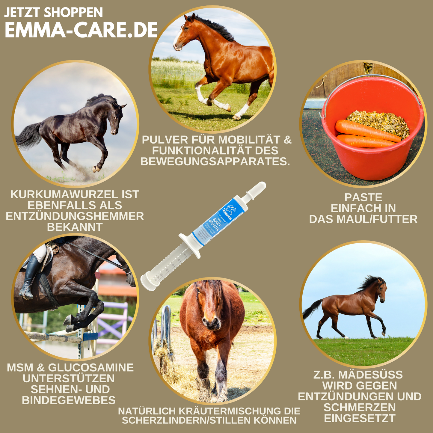 Gelenk aktiv, Ergänzungsfutter für die Gelenke vom Pferd-SPARSET