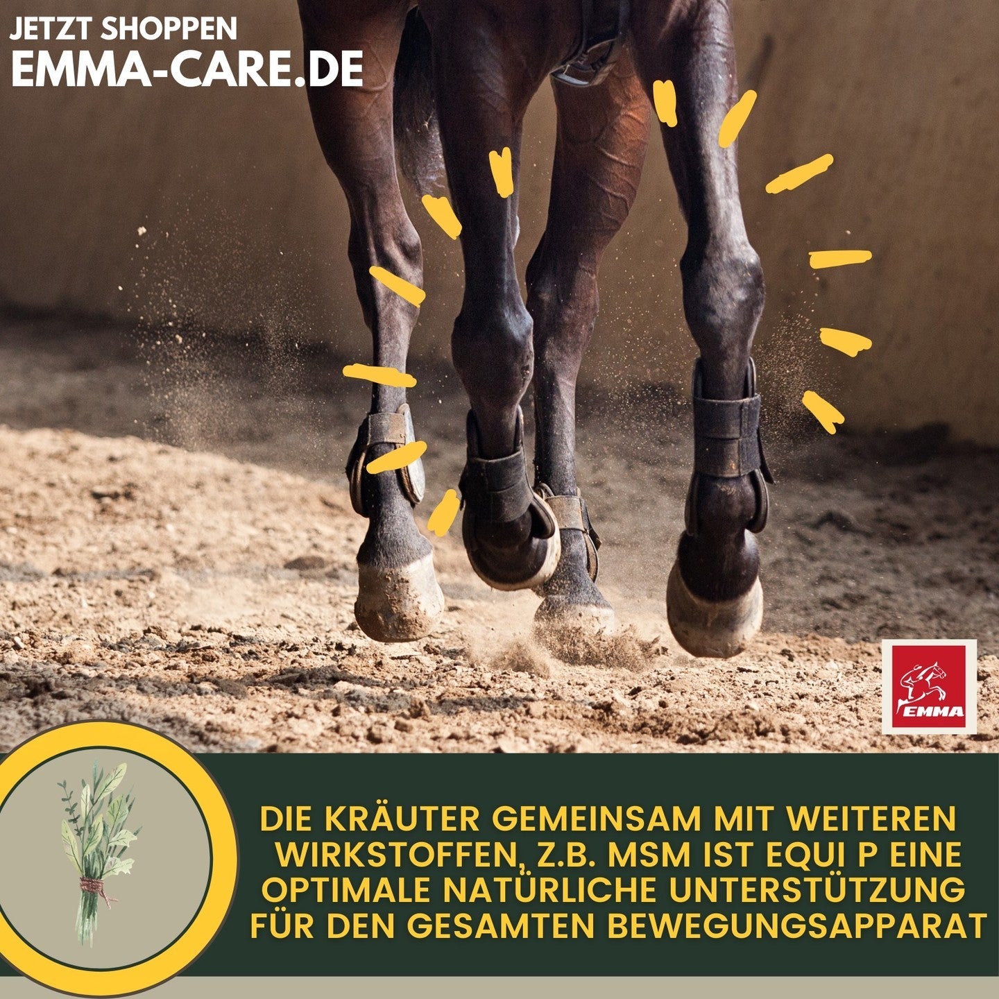 Gelenk aktiv, Ergänzungsfutter für die Gelenke vom Pferd-SPARSET